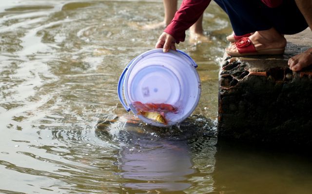 Người[-]thả[-]cá,[-]người[-]chờ[-]sẵn...[-]chích[-]điện[-]vợt[-]cá!